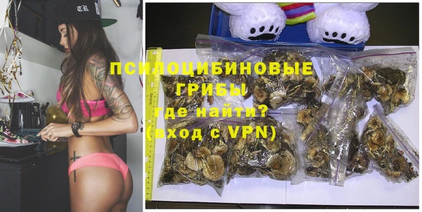 гашик Баксан