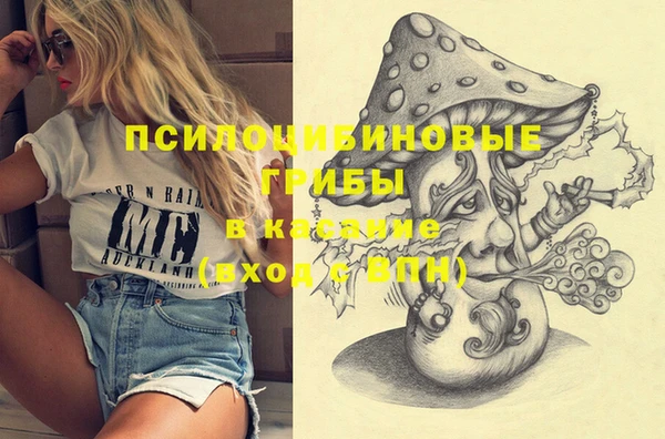 гашик Баксан