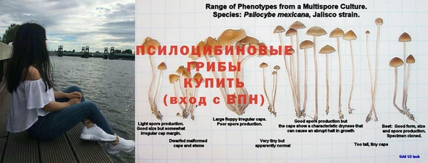 эйфоретик Балахна
