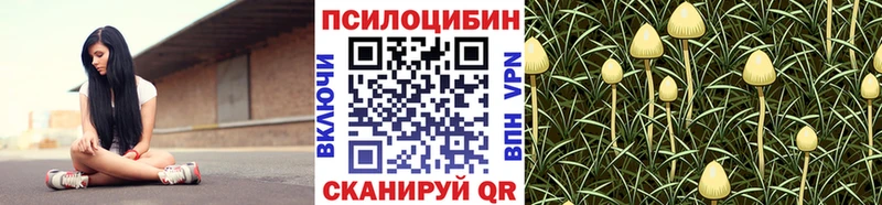 Псилоцибиновые грибы мицелий  OMG рабочий сайт  Судак  купить наркотик 